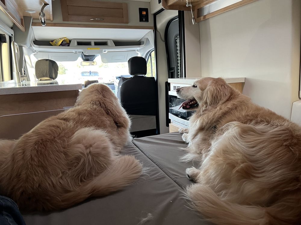 RED RIVER ANIMAL EMERGENCY HOSPITAL AND REFERRAL CENTER Updated