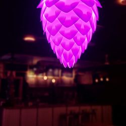 THC Beer Company