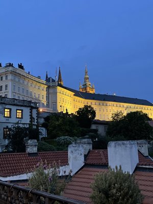 Vegan's Prague by null