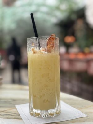 The Garden Room by null