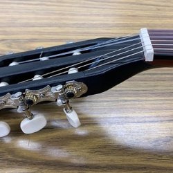 Guitar Safari