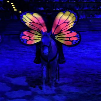 Dolly Parton's Stampede - awww the butterflies were so special - Performing Arts Near Me - Pigeon Forge, Tennessee
