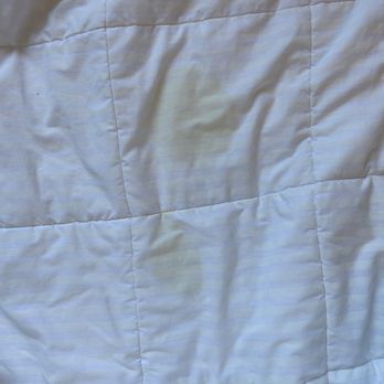 Courtyard by Marriott Jackson - Stains on the comforter.! - Hotels Near Me - Jackson, Tennessee Courtyard by Marriott Jackson - Stains on the comforter.! - Hotels Near Me - Jackson, Tennessee