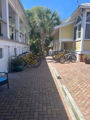 Beachview Bed and Breakfast by null