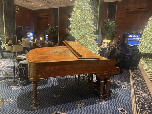 Peacock Alley by null