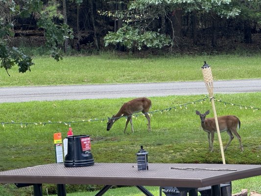 Petit Jean State Park Lake by null