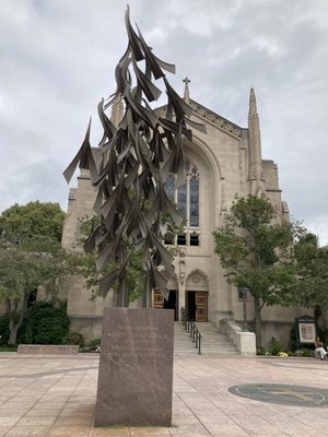 Boston University by null