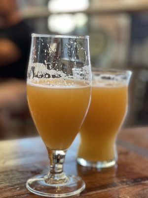 Casa Agria Specialty Ales by null