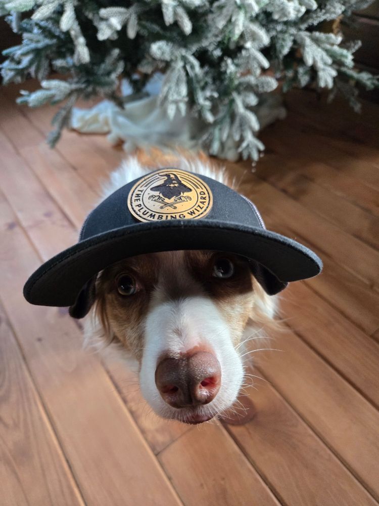 Slide of The Plumbing Wizard