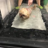 404 vet emergency hospital