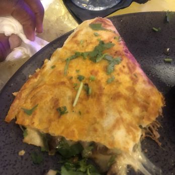 Tulum Mexican Cuisine - Birria Quesadilla. So delish! - Mexican Near Me - Wellington, Florida Tulum Mexican Cuisine - Birria Quesadilla. So delish! - Mexican Near Me - Wellington, Florida