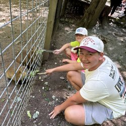Claws 'N' Paws Animal Park - Feeding the capybaras