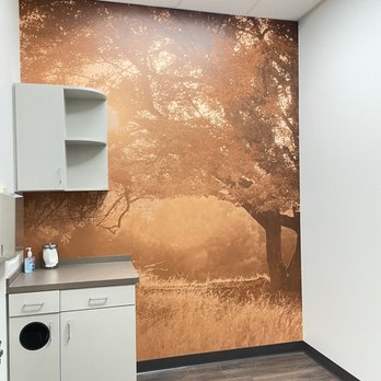 CityVet - Windhaven - Veterinarians Near Me - Plano, Texas CityVet - Windhaven - Veterinarians Near Me - Plano, Texas