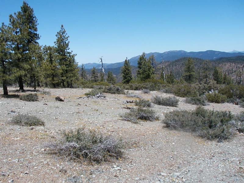 The Serpentine Barrens Image