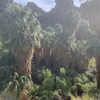 Indian Canyons - Parks Near Me - Palm Springs, California