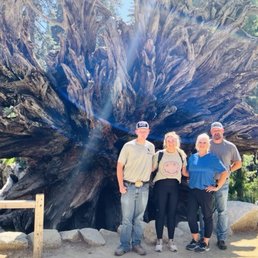 Our family picture at the root of the fallen tree