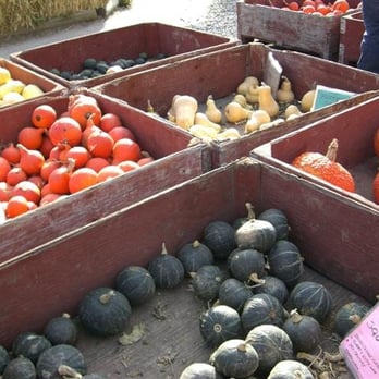 Mariposa Fruit Stand - Farmers Market Near Me - Keremeos, British Columbia Mariposa Fruit Stand - Farmers Market Near Me - Keremeos, British Columbia