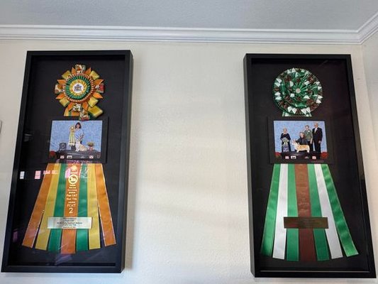 Morita's Picture Framing