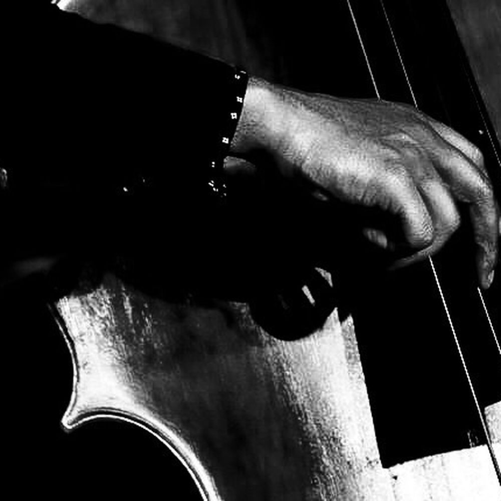 Cafe CODA - Junius Paul - Dee Alexander Quartet - Jazz & Blues Near Me - Madison, Wisconsin