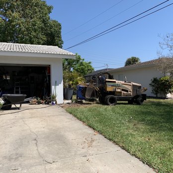 Native Stump Grinding - Removing podocarpus stump. - Tree Services Near Me Native Stump Grinding - Removing podocarpus stump. - Tree Services Near Me