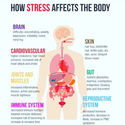 Unalome Wellness