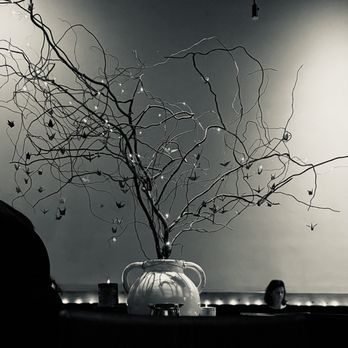 Sake 107 - Izakaya Near Me - Petaluma, California
