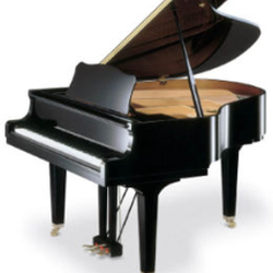 Yamaha Piano Tuning, Repair Service