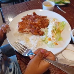 Teriyaki chicken meal