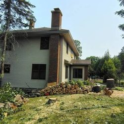 Alex Landscaping and Tree Trimming Service