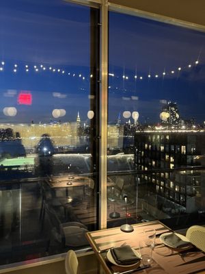 Laser Wolf Brooklyn by null