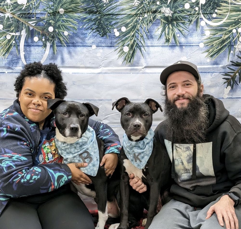 DJ's Pet Services - pet boarding facility in Springfield, MA