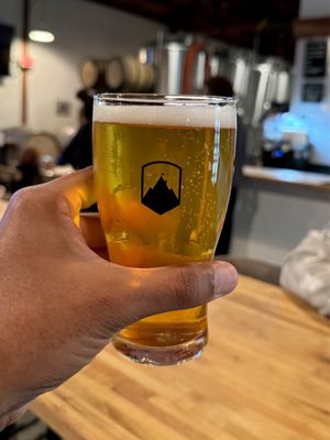 Ambitious Ales by null