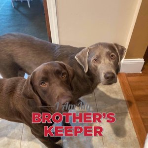 Bubbles-N-Bones on Yelp