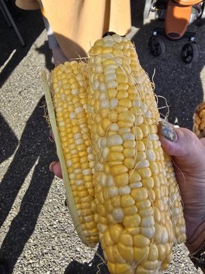 The Everett Farmers Market by null