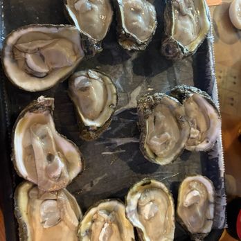Dusty's Oyster Bar - Oysters - Seafood Near Me - Panama City Beach, Florida Dusty's Oyster Bar - Oysters - Seafood Near Me - Panama City Beach, Florida