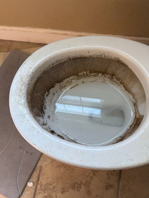 MS Cleaning Services on Yelp