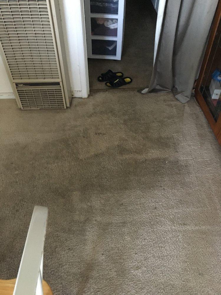 TRUST CARPET CLEANING 13 Reviews San Francisco, California Carpet