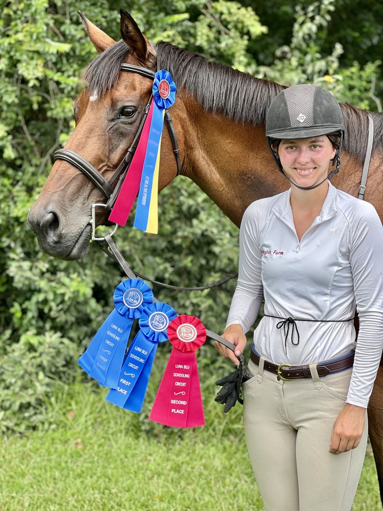 Ellis Equestrian Services - equestrian in Chesapeake, VA