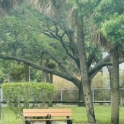 Palmetto Park