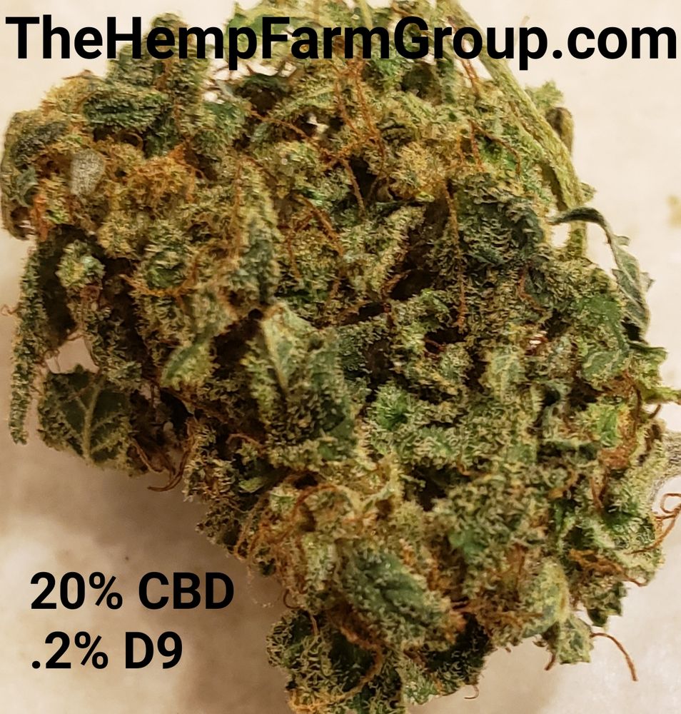 THE HEMP FARM GROUP Updated August 2024 7801 Roxborough Park Rd