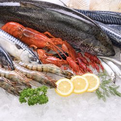 Midwest Seafood