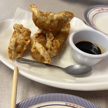 Pho 170 - Fried Dumplings - Vietnamese Near Me - Middletown, Connecticut