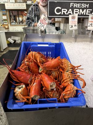 Harbor Fish Market by null