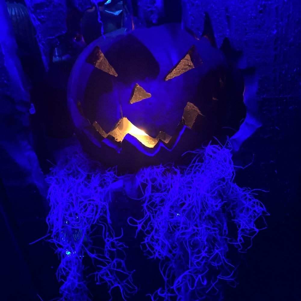 Frightworld America's Screampark - Haunted Houses Near Me - Buffalo, New York Frightworld America's Screampark - Haunted Houses Near Me - Buffalo, New York