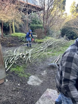 🍂🏡 Fall Into a Pristine Yard with Curb Appeal Gardener! 🍁 - As the leaves begin to turn, it's the perfect time to prep your yard for the cooler months ahead! At Curb Appeal Gardener in Washington, we're experts in fall clean-ups, ensuring your outdoor spaces are neat, tidy, and ready for winter.
👀 What We Offer:
Leaf removal and disposal
Seasonal pruning and trimming
Last lawn mowing and aeration for healthy spring growth
Preparation of beds and borders for winter
Don’t let those fallen leaves get you down. 📞 Give us a call or check out our Yelp page to book your fall clean-up service! Let’s keep your yard looking its best all season long! 🌟🍂 🍂🏡 Fall Into a Pristine Yard with Curb Appeal Gardener! 🍁 - As the leaves begin to turn, it's the perfect time to prep your yard for the cooler months ahead! At Curb Appeal Gardener in Washington, we're experts in fall clean-ups, ensuring your outdoor spaces are neat, tidy, and ready for winter.
👀 What We Offer:
Leaf removal and disposal
Seasonal pruning and trimming
Last lawn mowing and aeration for healthy spring growth
Preparation of beds and borders for winter
Don’t let those fallen leaves get you down. 📞 Give us a call or check out our Yelp page to book your fall clean-up service! Let’s keep your yard looking its best all season long! 🌟🍂