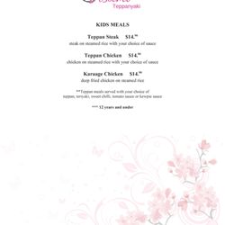 Asami Teppanyaki - Kids Menu