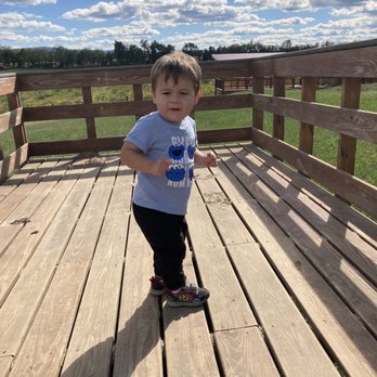 Wayside Farm Fun - Wagon - Farms Near Me - Berryville, Virginia Wayside Farm Fun - Wagon - Farms Near Me - Berryville, Virginia