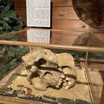 Expedition Bigfoot - Museums Near Me - Blue Ridge, Georgia Expedition Bigfoot - Museums Near Me - Blue Ridge, Georgia
