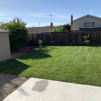 Nine Orange Landscaping - Landscaping Near Me