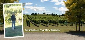 Witching Stick Wines by null